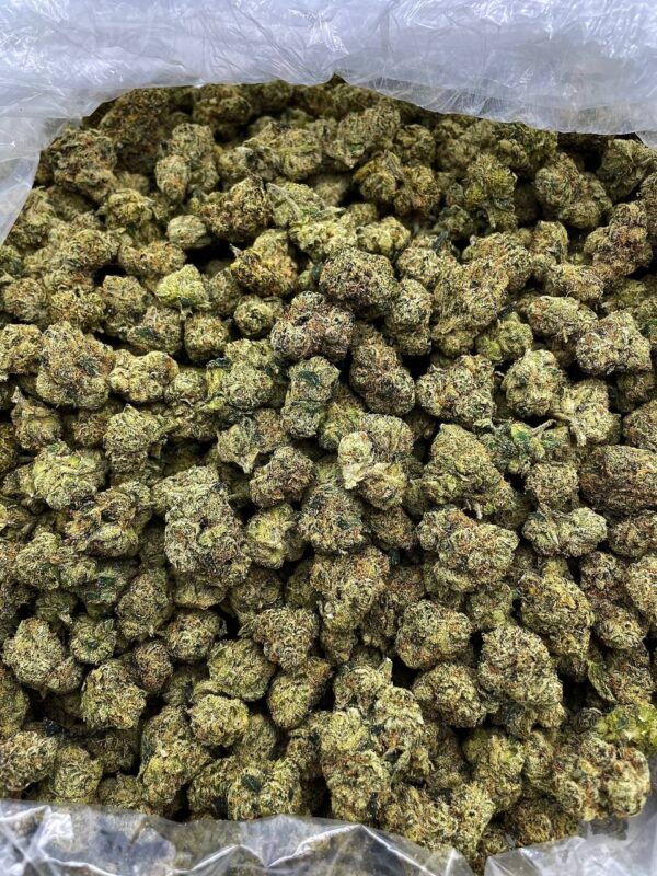 Candy Cloud Strain – LB1018CZ - Image 2