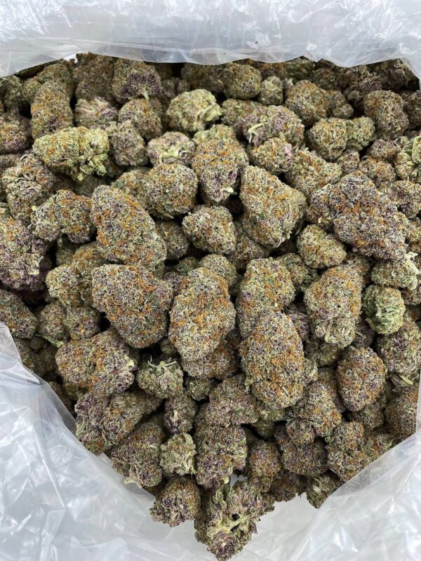 Grape Soda Groove – FL1017GA - Image 2