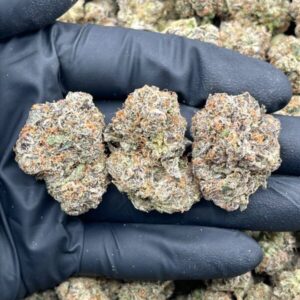 Apple Drops strain