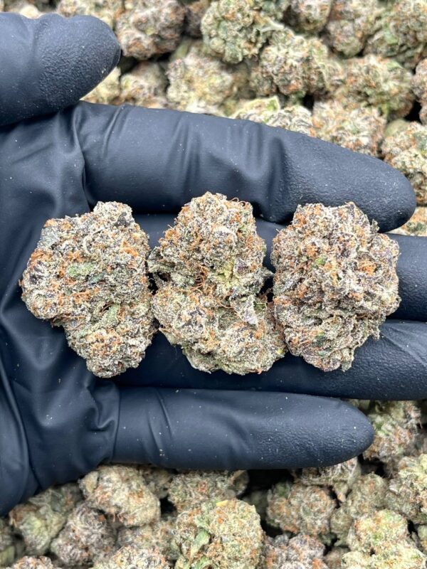 APPLE DROPS – BO805AL Apple Drops strain