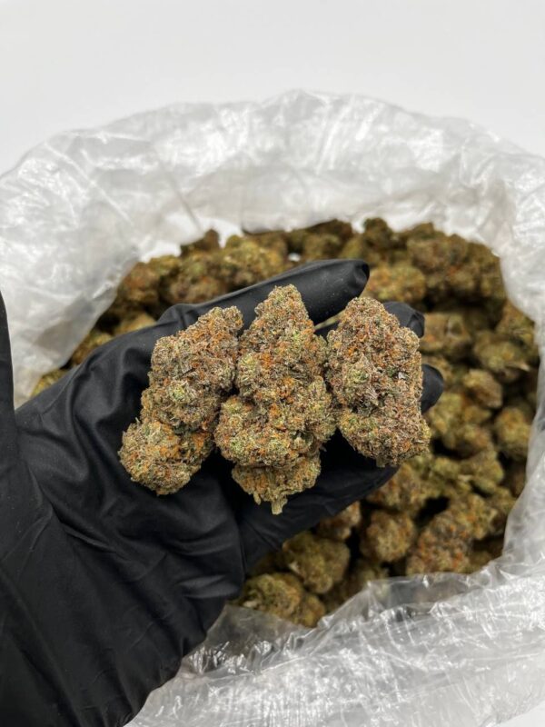 Banana Cream Pie Strain