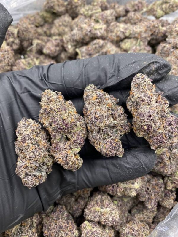 Black Runtz Strain