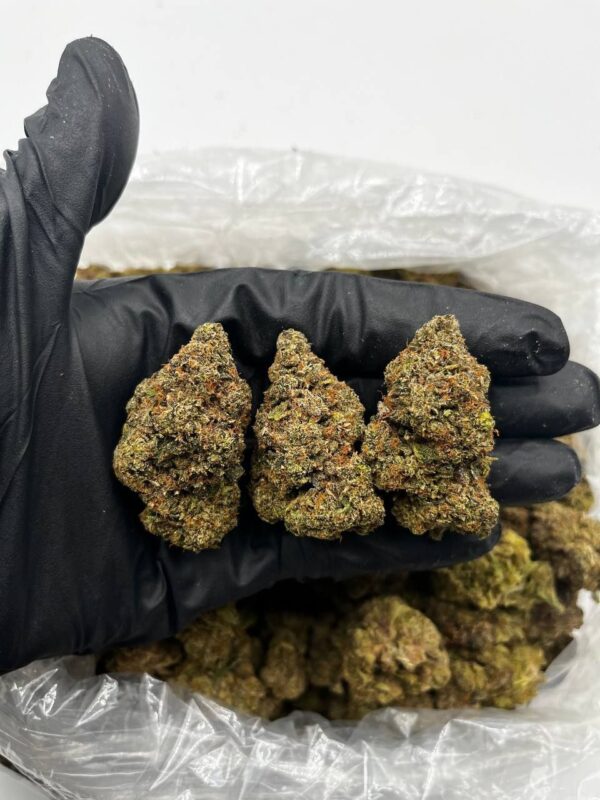Blue Razz Strain