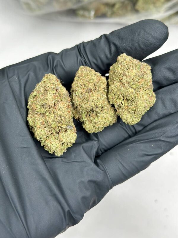 Cake Crasher Strain