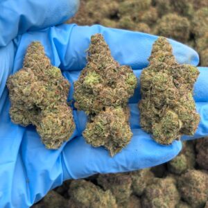 Dantes Inferno Strain