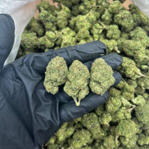 Do Si Dos Strain