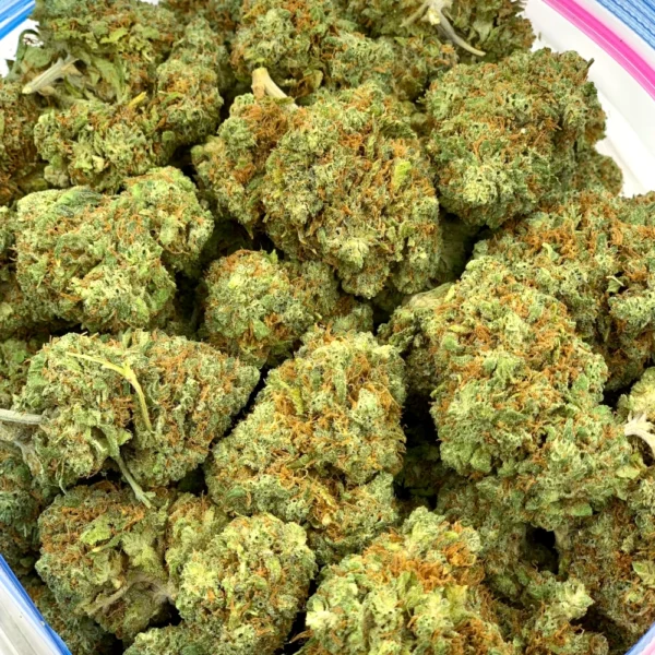 Gary Payton Strain