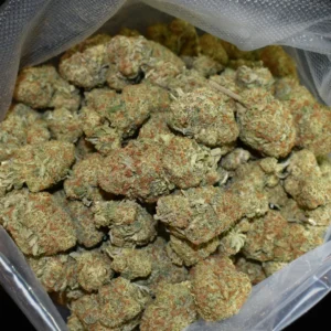 Gelato 31 Strain