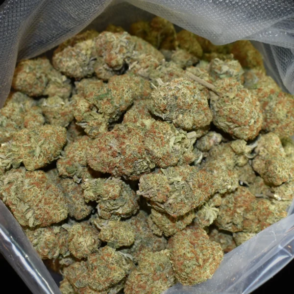 Gelato 31 Strain
