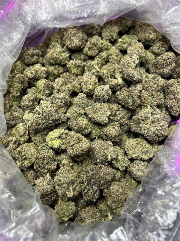 Gumbo Strain - - Image 2