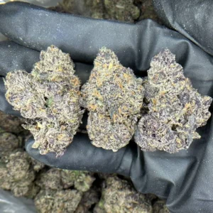 Gumbo Strain