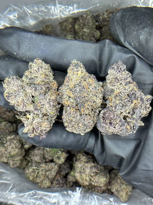 Gumbo Strain