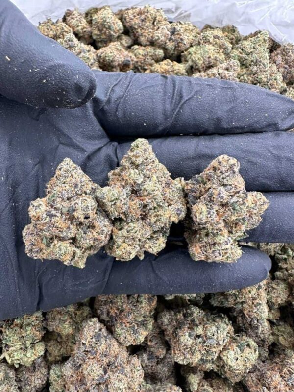 Honey Drizzle Haze Strain