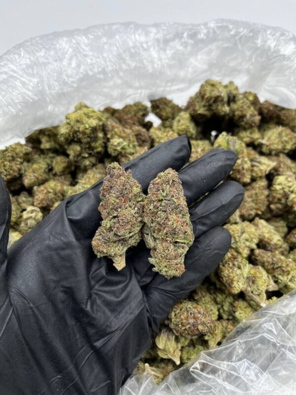 Mendo Breath Strain