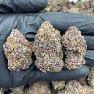 Nerds Strain