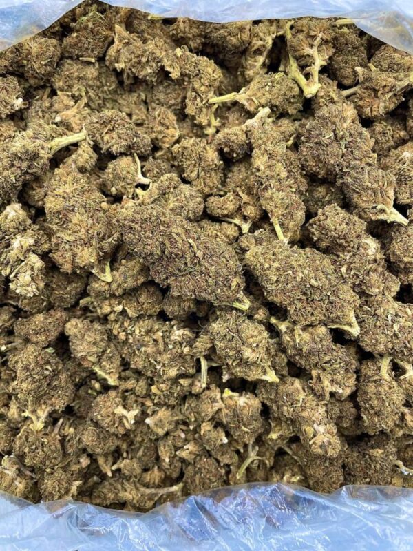 Pineapple Express Strain