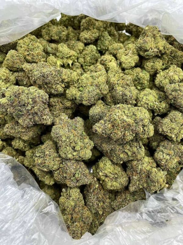 Purple Citrus Crush Strain
