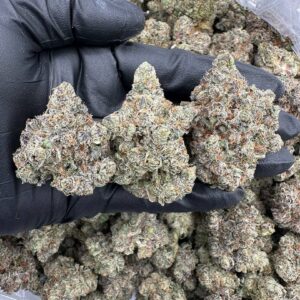 Purple Push Pop Strain