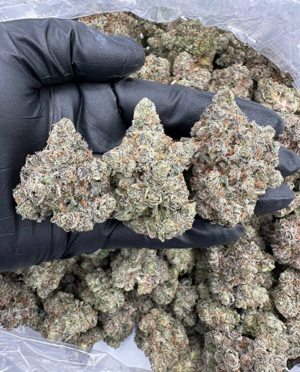 Purple Push Pop Strain
