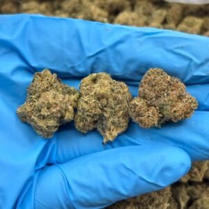 slurricane weed strain