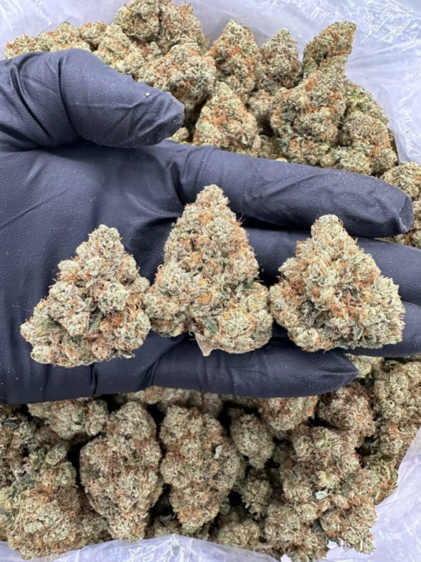 Vanilla Dream Strain