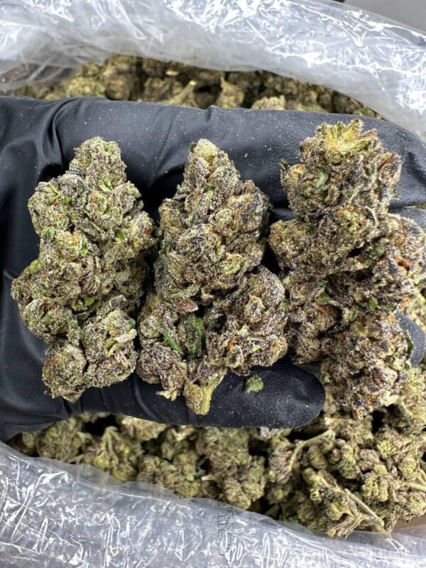 White Cherry Runtz Strain