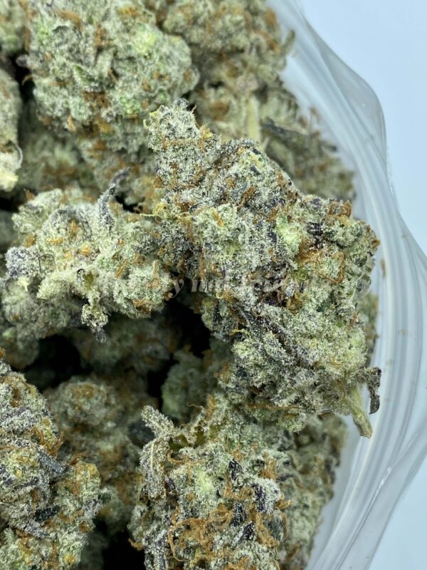 Zookies strain