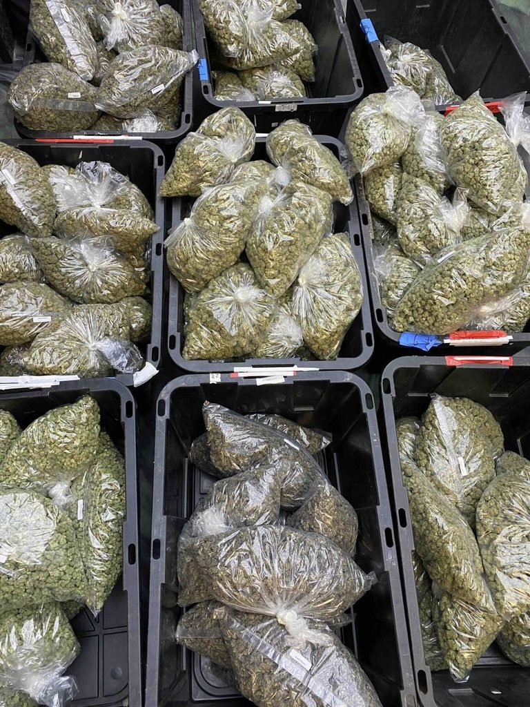 cannabis store near me