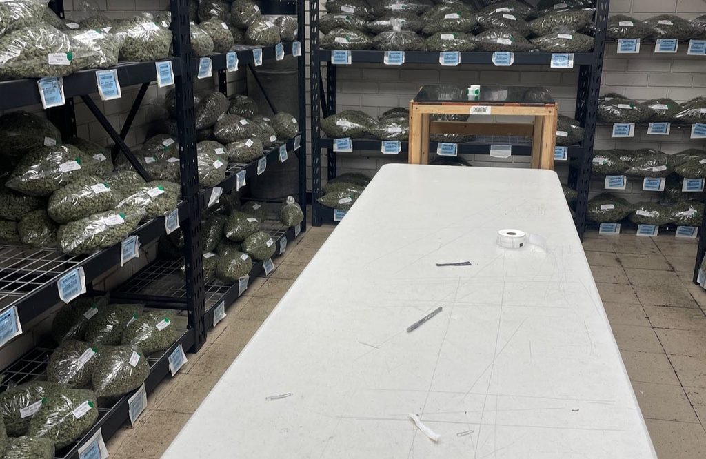 cannabis store near me