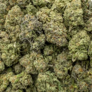 Guava Cake Strain