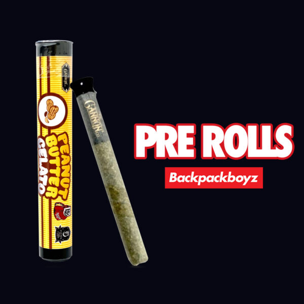 BACKPACKBOYZ - Cannons Preroll - Image 5