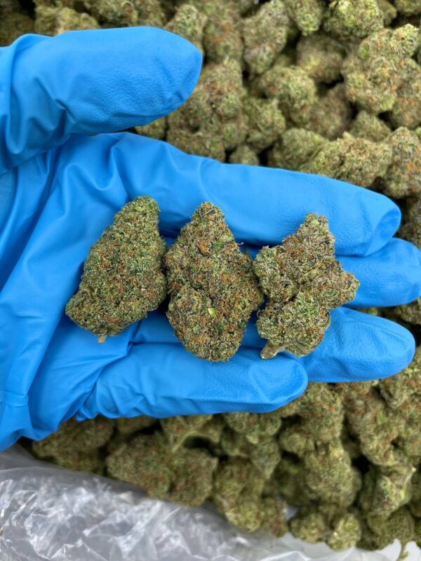 Creme Brulee Strain