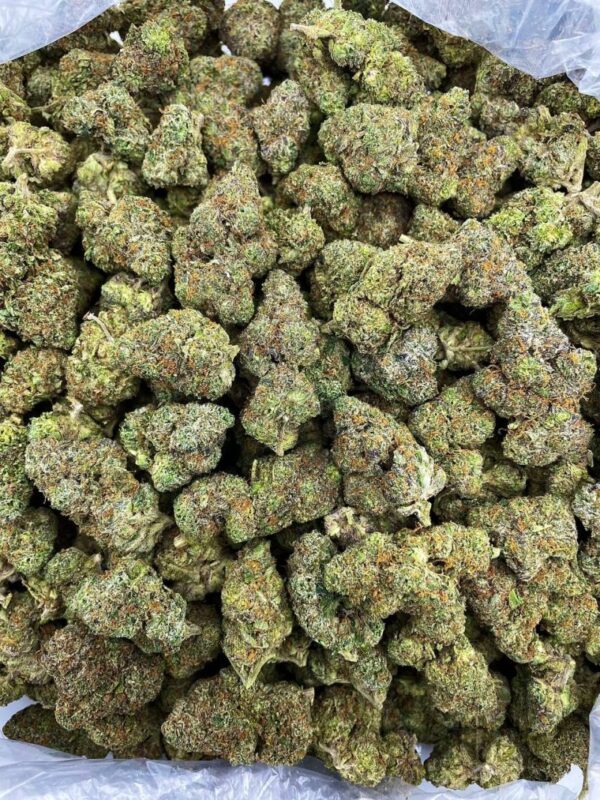 Creme Brulee Strain