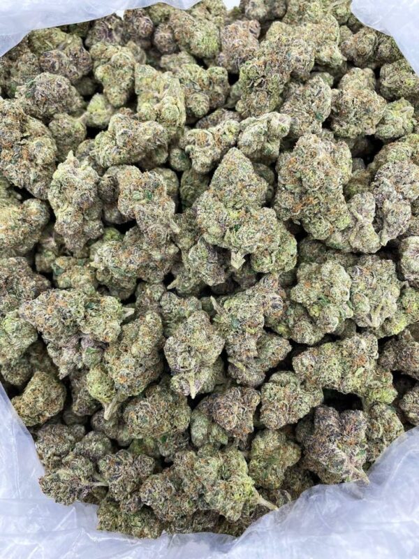Frosted Candy Gelato Strain