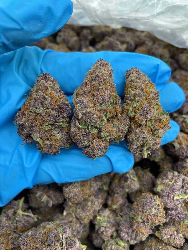 Frosted Winter Runtz Strain