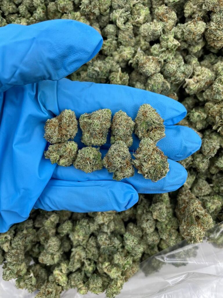 Frosted Zkittle Poppers Strain