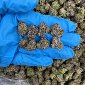 Frosty Wonderland Strain