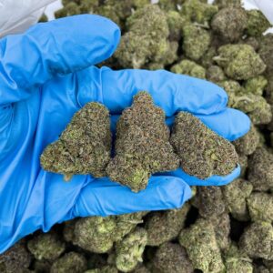 Fruit Loop Mochi Strain