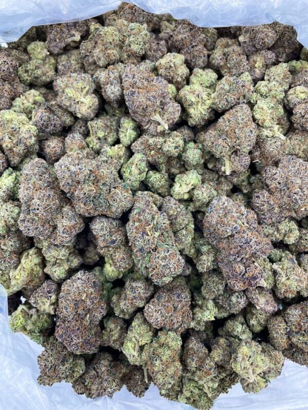 Fruity Pebble Crunch - BH224PO - Image 2