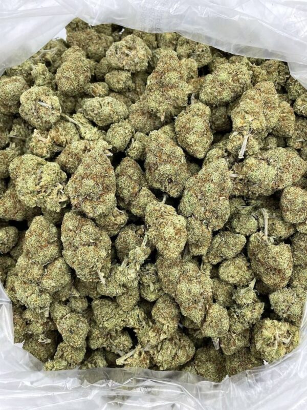 Gorilla Glue Strain