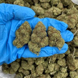 Gorilla Glue Strain
