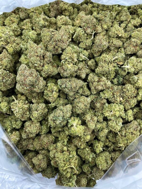 Gorilla Glue Supreme Strain