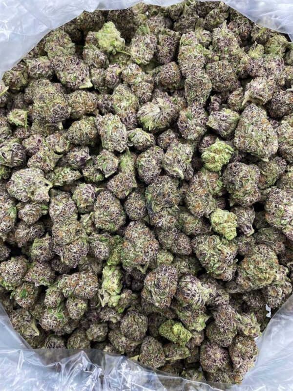 Grape Candy Pop Strain