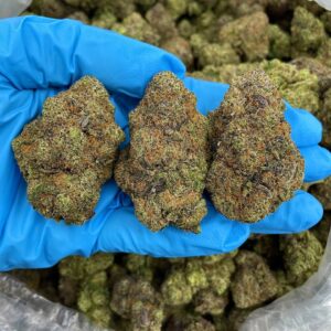 Grapefruit Gelato Strain