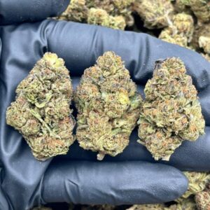 Ghost Rider strain