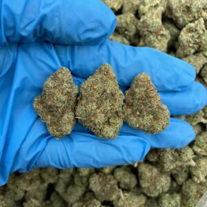 Icy Fruit Loops Strain