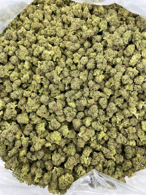 Jolly Ranchers Bite Strain