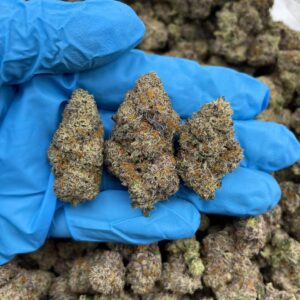 Pistachio Runtz Strain