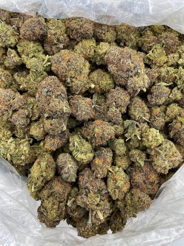 Platinum Snowfall Strain