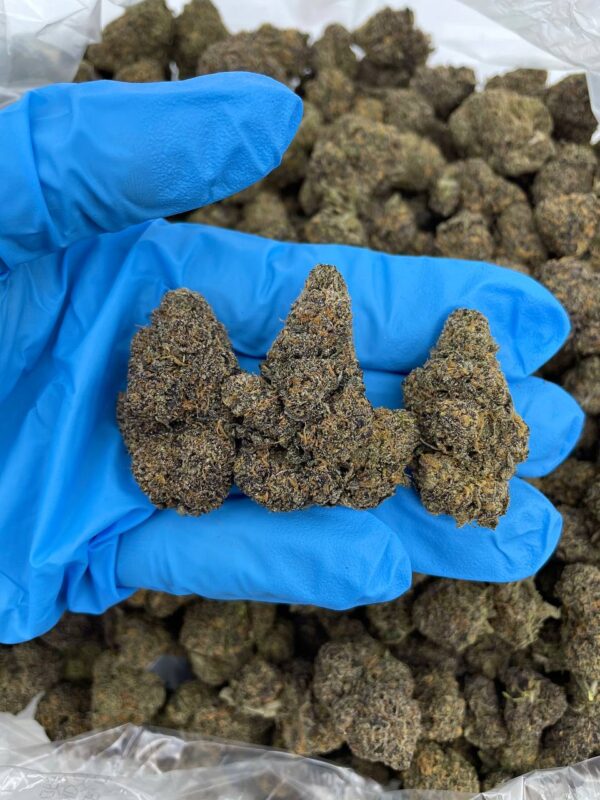 Rainbow Sherbert Strain